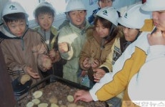 고향의 맛 감자 맛 보세요