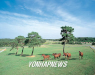 주말 폐쇄될 원당 종마목장