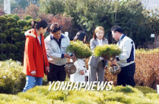산림조합 봄철 나무시장 개장