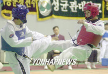 태권도 국가대표선발전