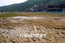 8억들인 잔디구장 `첨벙첨벙