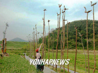 이게 바로 솟대란다…