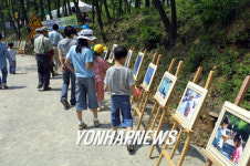 아카시아 축제