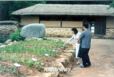 영랑생가에는 모란만 있지 않아요