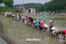`어린이 농업학교