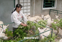 北 황북 염소종축장