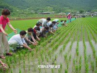오리농법 체험하는 소비자들