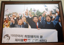 돼지꿈은 이루어진다