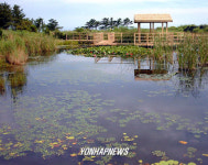 눈길 끄는 생태연못