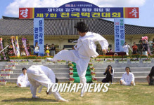 전국 택견대회 충주서 개막