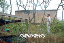 사라질 위기의 모감주나무 군락