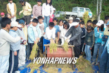 벼 탈곡은 이렇게...