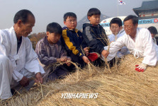 초가지붕 이엉이기 체험