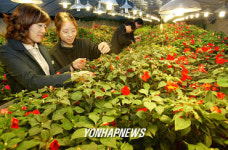  꽃 맛있게 피었네!