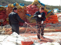 항포구 그물손질 분주