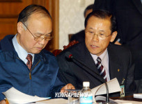 폭설피해수습 관계장관 회의