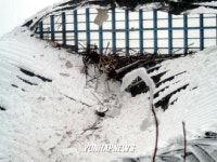 내려앉은 체육관 지붕