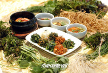 강원랜드 봄나물 잔치 마련