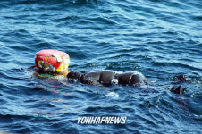 봄바다로 물질 나온 해녀