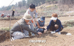 주말농장 가꿔 보세요