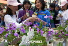 (주)서울브레디아 | 도심속 들꽃 나눠주기행사