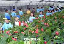 전남도가 올초부터 개방하고 있는 도 농업기술원에 올들어 1만여명의  유치원생과 어