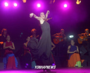 스페인 플라멩고 프리 콘서트