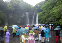 빗속 천지연폭포 찾은 관광객