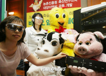 가축 스트레스를 해소해줍니다