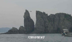 통영 연화도 용머리 천년송 고사