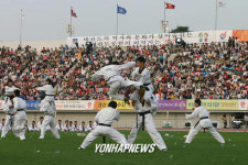 경북도체 태권도시범