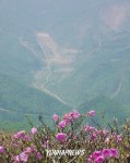 태백산 폭격장