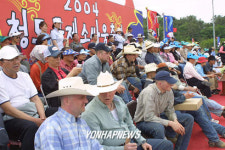 청도소싸움축제 내외국인 열광