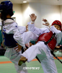 장지연 태권도 아테네 국가대표 선발