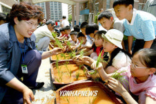 꿈나무 벼사랑 체험농장