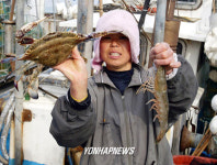 꽃게.대하 싱싱해요