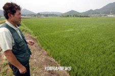 행정수도 기대반, 걱정반