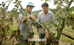 농부의 안타까운 마음