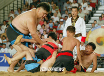 람바다씨름 한판