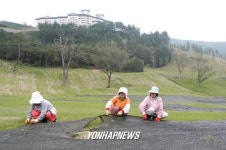 강원랜드 골프장