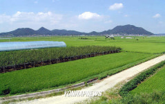 금강변서 바라본 신행정수도 예정지