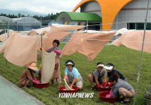 `갈옷 옷감 천연염색