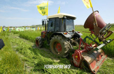 벼 갈아엎는 농민들