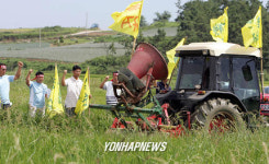벼 갈아엎는 농민들