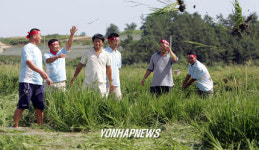 벼 갈아엎는 농민들