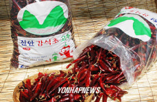 계성농촌지도자회 영농조합법인 | 일선농촌지도사 코팅고추개발