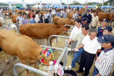 으뜸 한우 선발대회