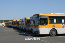 발묶인 포항 시내버스