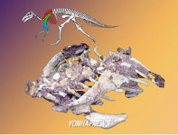 국내최초로 발굴된 완벽한 형태의 공룡뼈