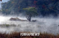 <카메라뉴스> 환상적인 물안개